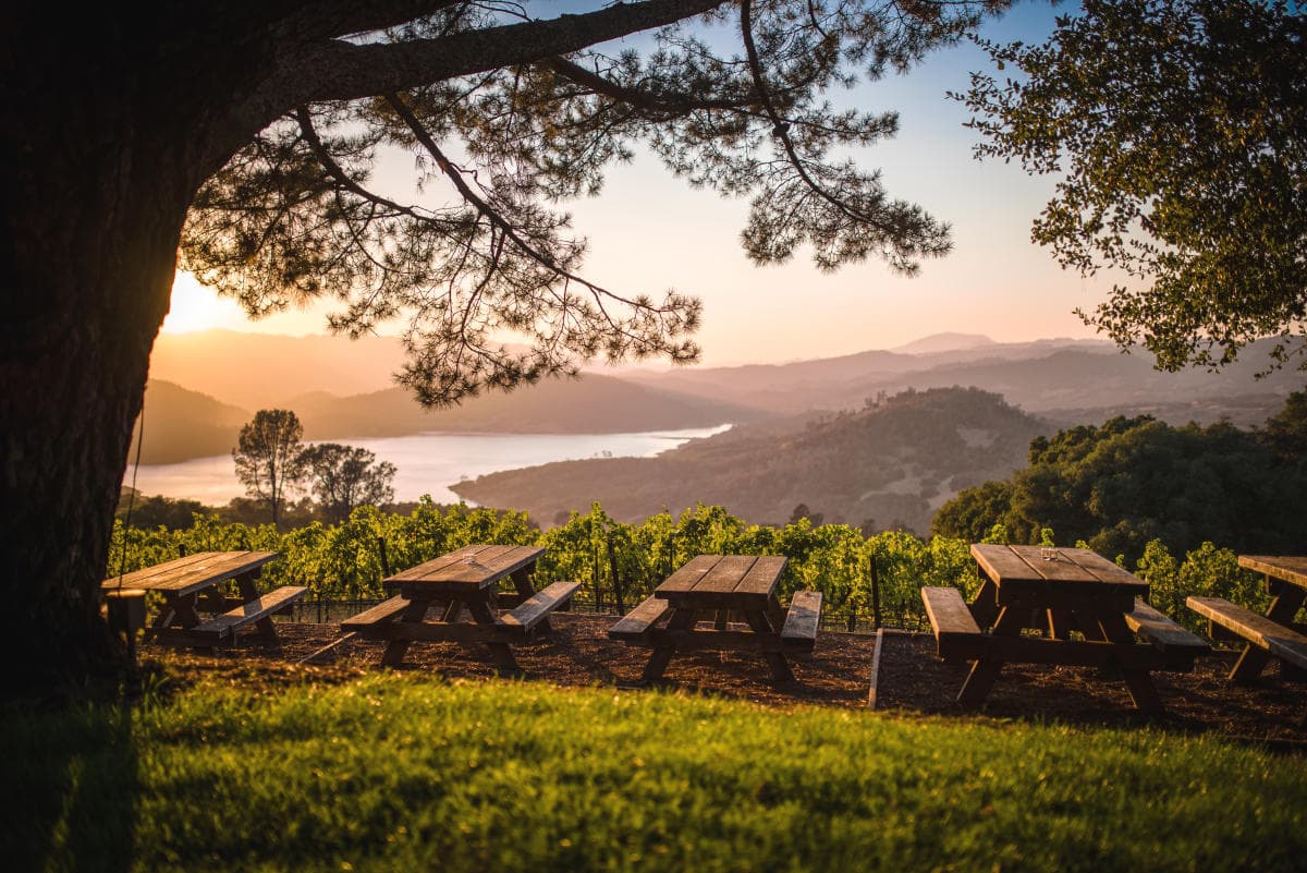 Agricultural landscape in Napa Valley with vineyards and surrounding hills