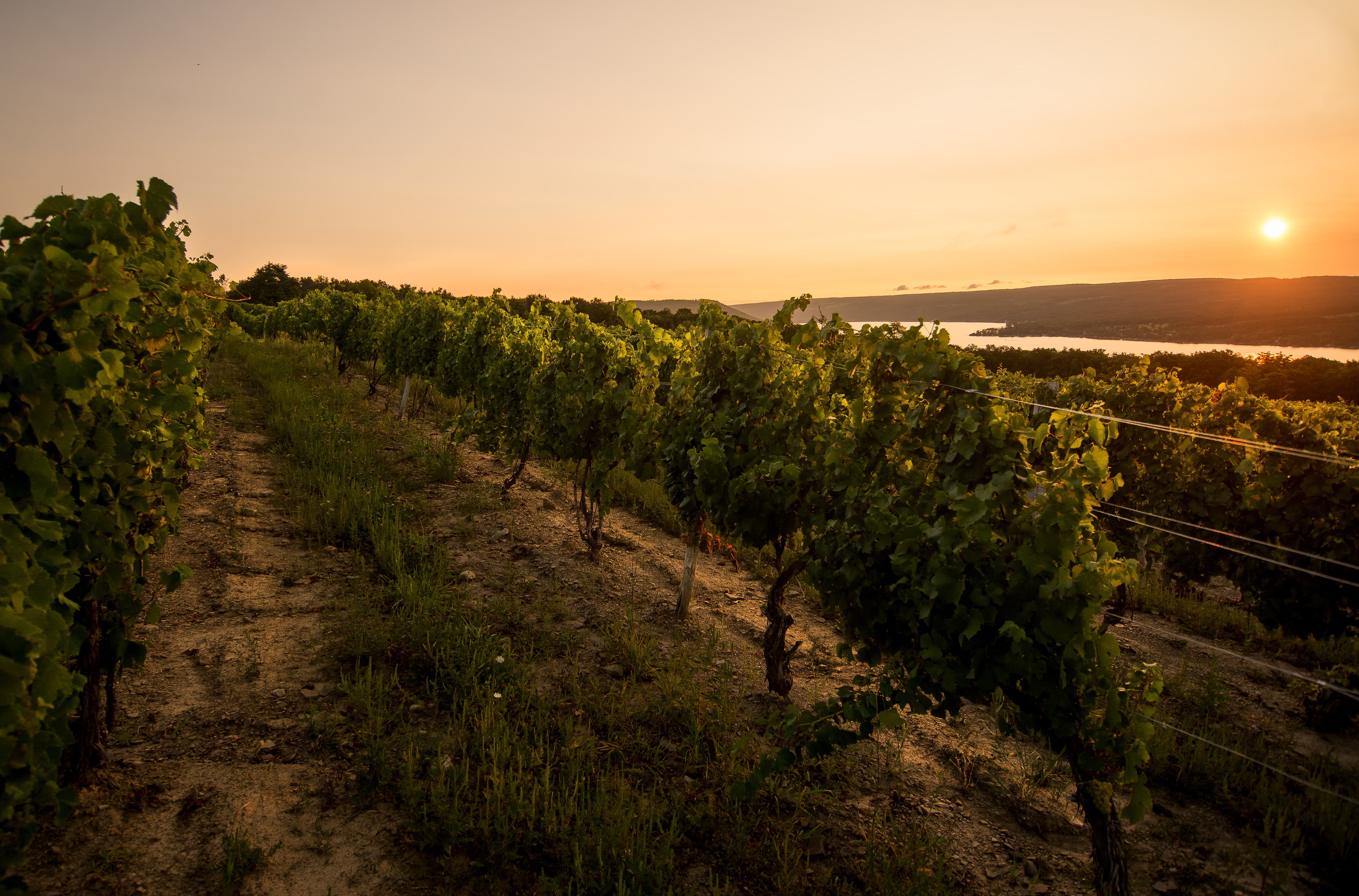 Sunrise over Keuka Lake in New York's Finger Lakes