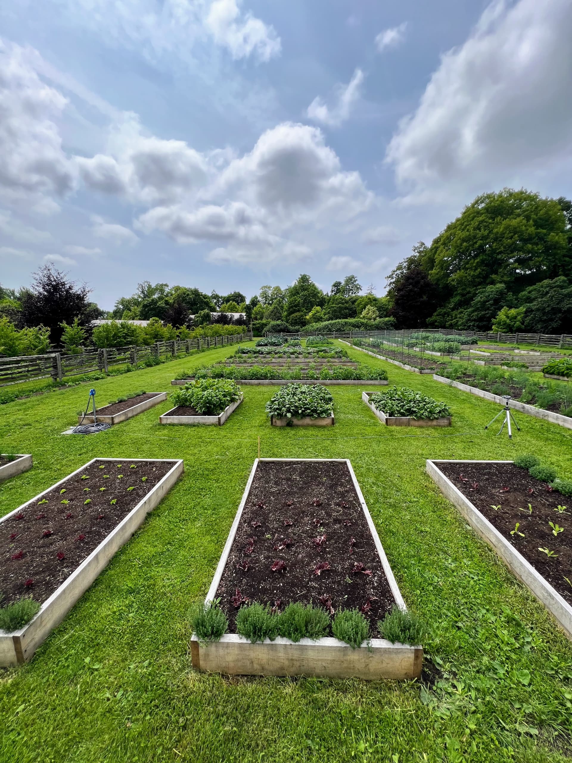 Agricultural landscape used as the story's hero image