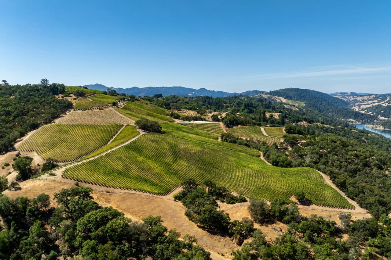 Rows of grapevines on a hillside near Lake Sonoma in California