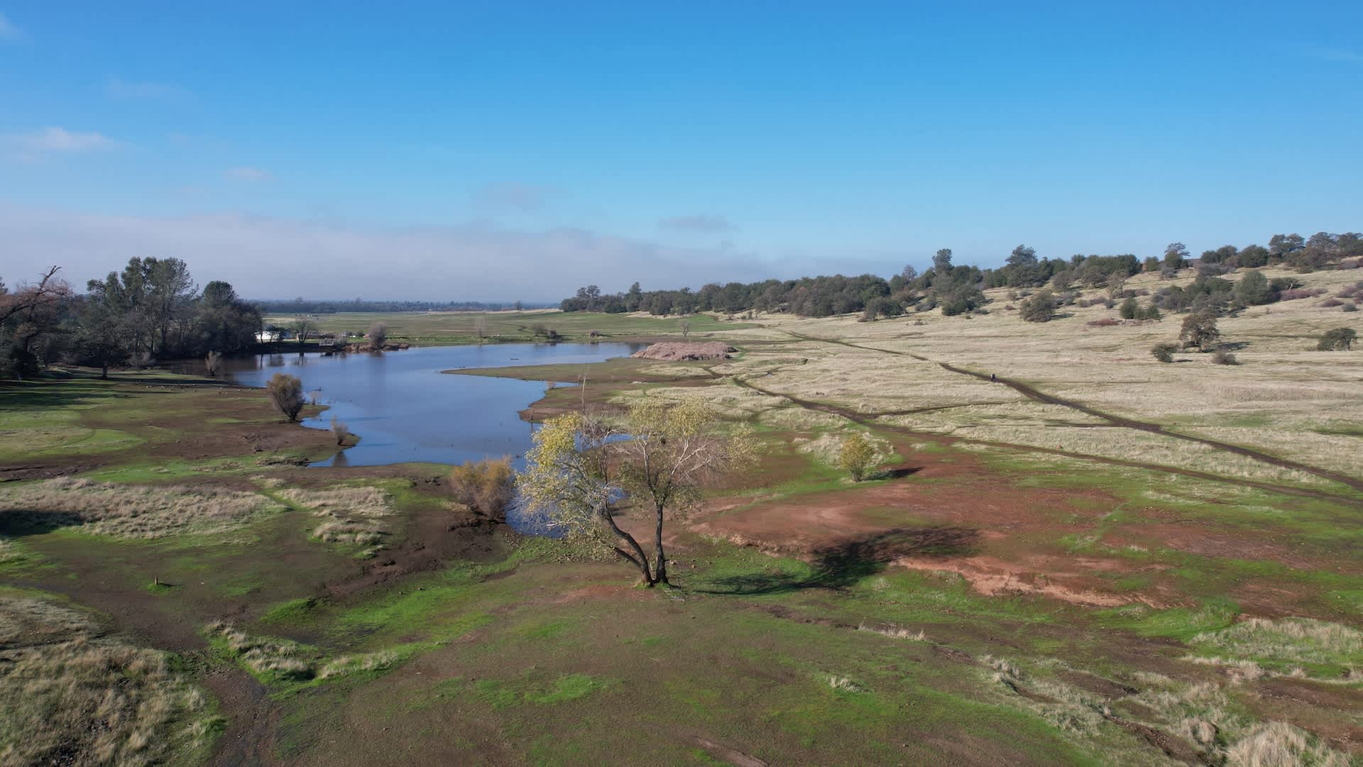 Sacramento Valley farmland viewed from above